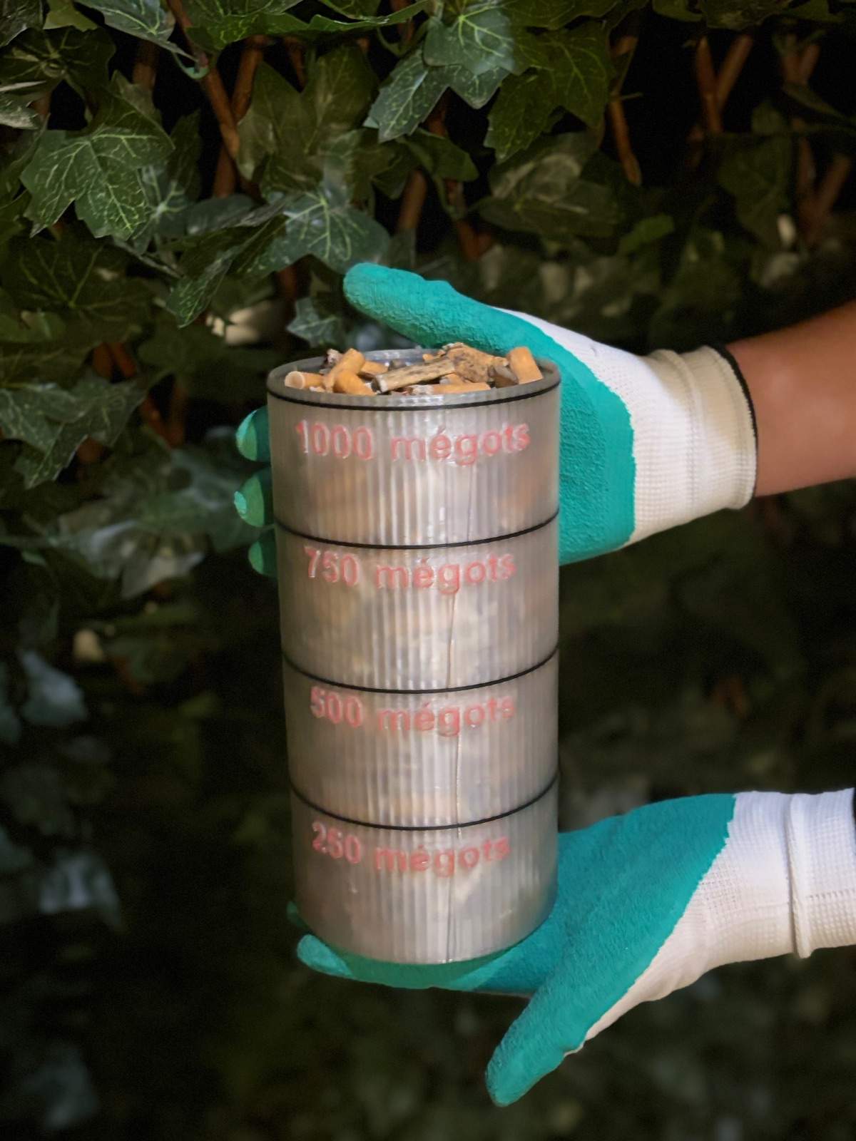 Photo des mégots récoltées dans un contenant à megots