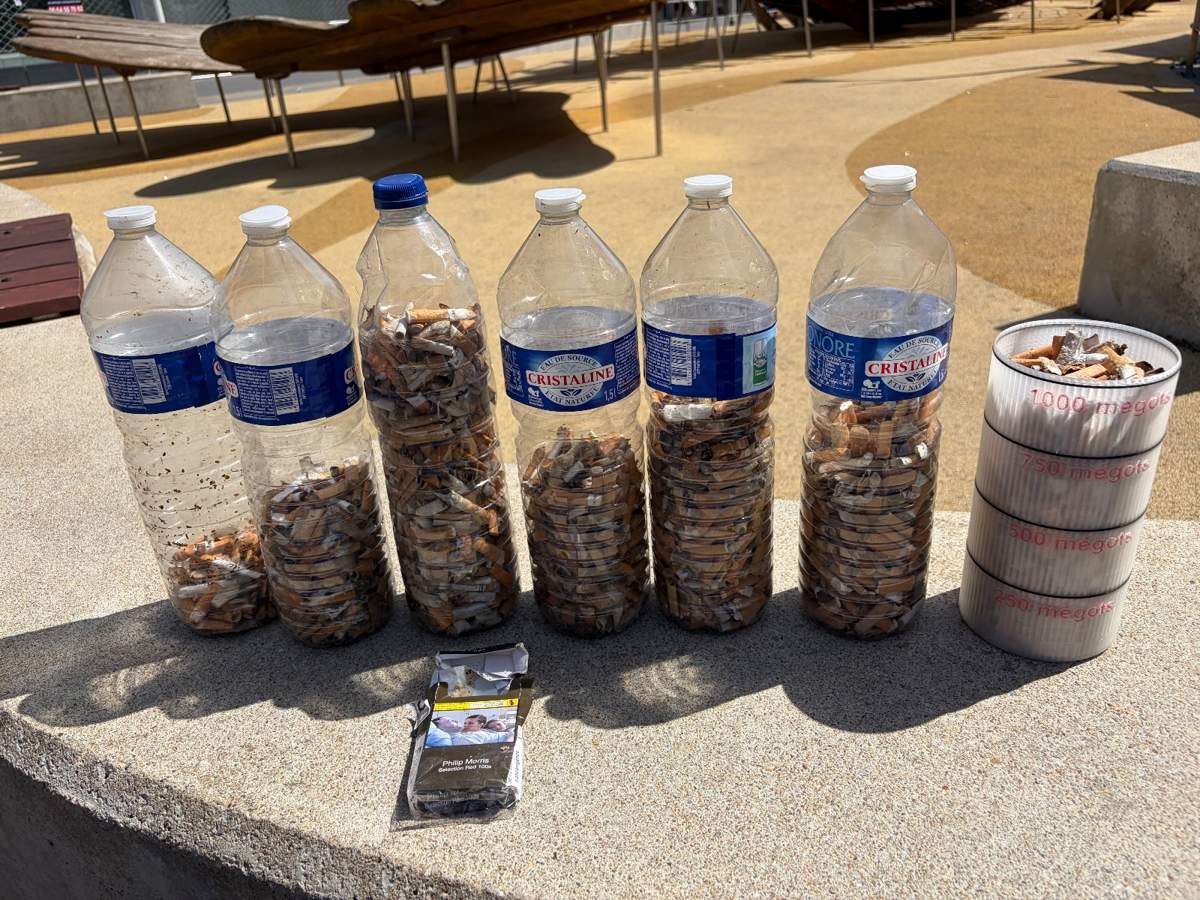 Six bouteilles remplies de mégots ramassés, posées sur un muret.